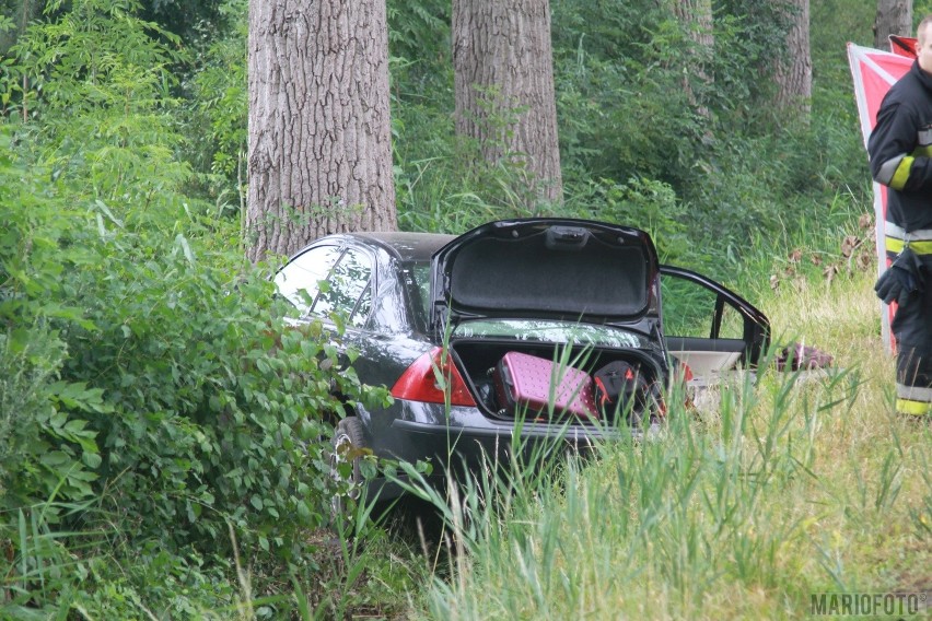 Śmiertelny wypadek w Opolu. We wtorek rano ford mondeo uderzył w drzewo. Zginęła pasażerka, dwie osoby są ranne