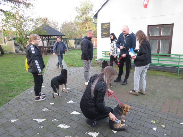Tak było na trzecim spotkaniu wolontariuszy z psami z brodnickiego schroniska w ramach projektu "Podaj łapę"