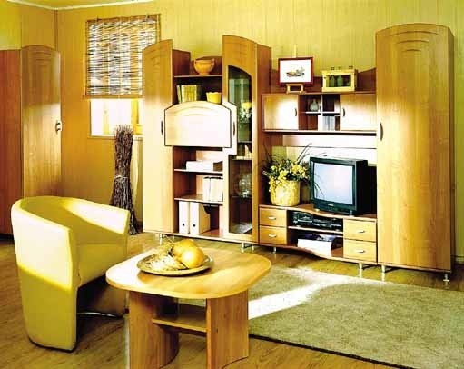 Praktycznym rozwiązaniem do małych mieszkań są także nowoczesne meblościanki - małe i funkcjonalne.