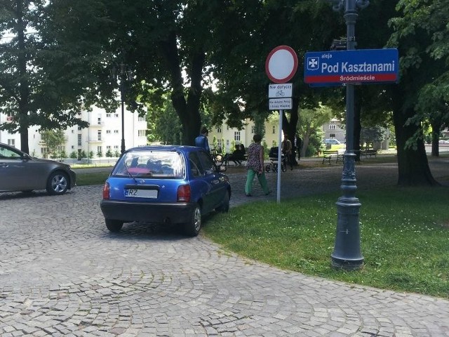 Rzeszów, al. Pod Kasztanami.