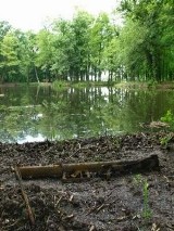 Wyrzutnia pocisków przeciwpancernych leżała sobie w parku