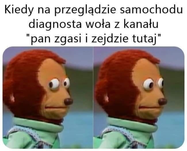 Z tych samochodów internauci mają bekę. Poznaj najśmieszniejsze memy o motoryzacji, które rozbawią Cię do łez! 14.03.2024