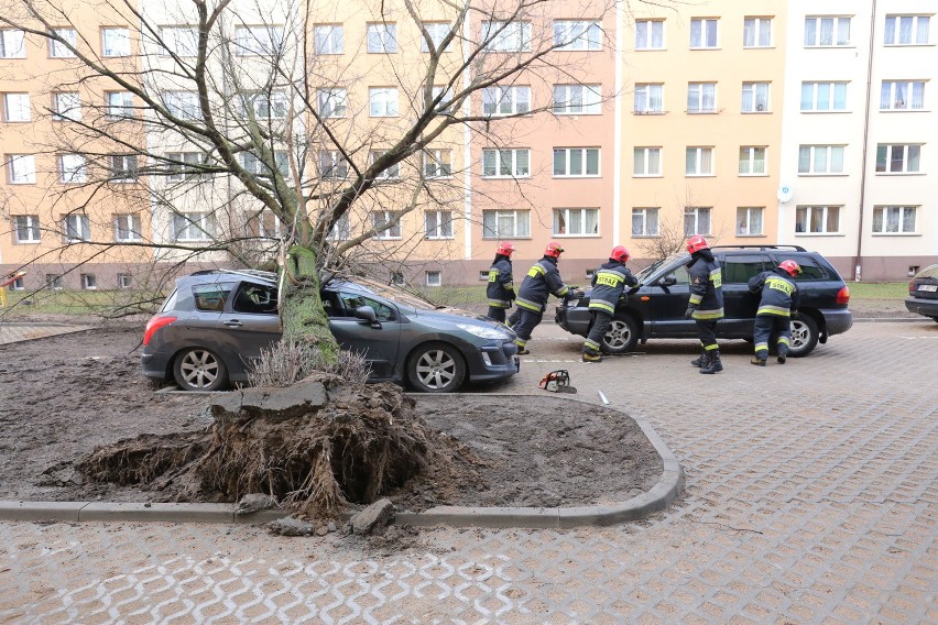 Pomocy poszkodowanym kierowcom udzielała straż pożarna.