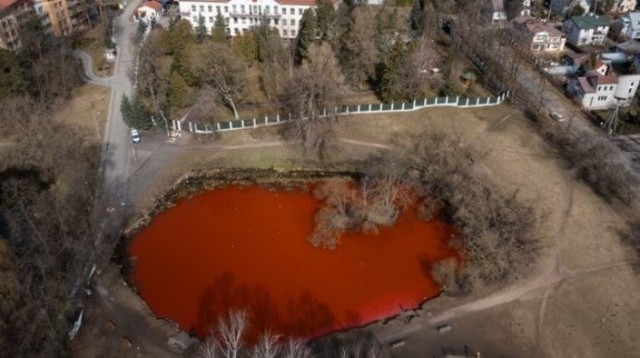 Farba nie jest szkodliwa dla zwierząt i roślin.