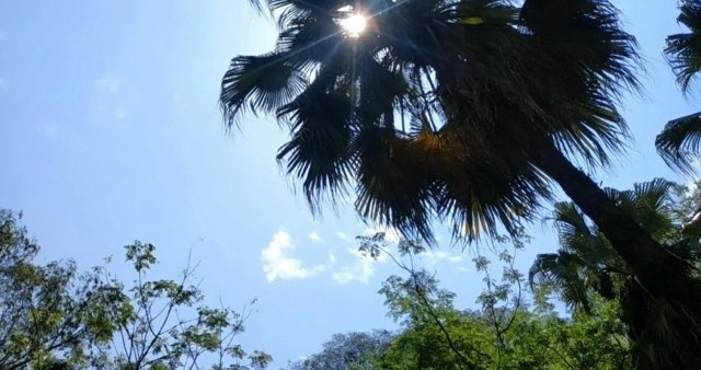 W dzielnicy Guaratiba położonej w zachodniej części Rio de Janeiro zanotowano temperaturę odczuwalną bliską 60 stopni Celsjusza.