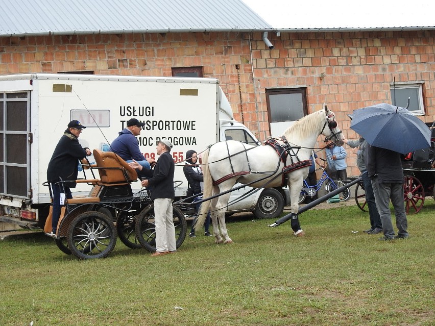 XIV Podlaskie Zawody Tradycyjnego Powożenia Zaprzęgami...