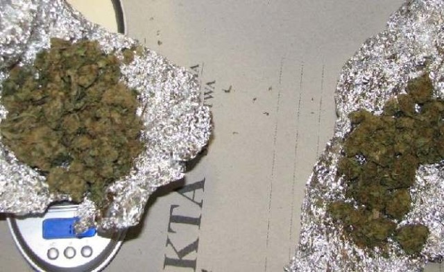 27-latek od kwietnia do końca lipca br. sprowadził łącznie ponad 80 gramów marihuany.
