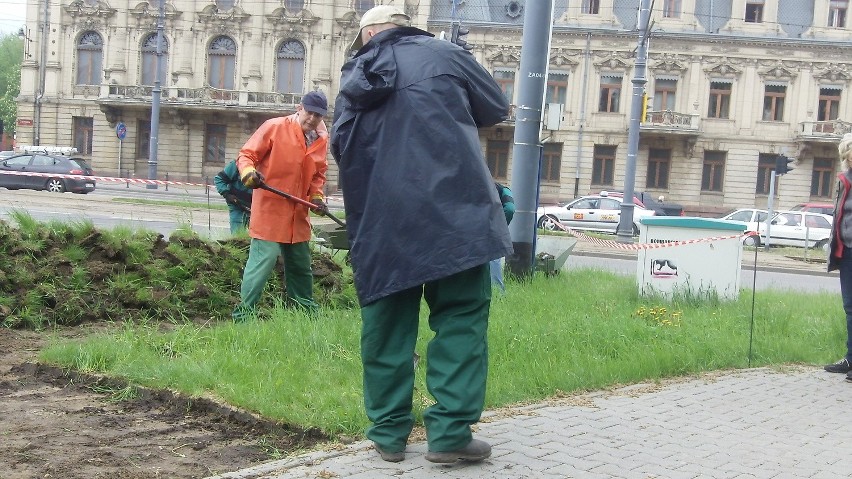 Kompleksowy program przywracania zieleni na Zachodniej i...