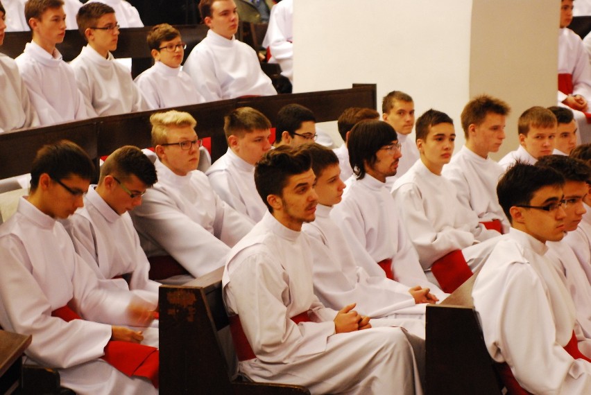 Nowi animatorzy służby liturgicznej ustanowieni w Katedrze...