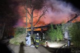 Pożar w niemieckim ZOO. Spłonęła małpiarnia, a w niej ponad 30 zwierząt. Policja sprawdza, czy przyczyną pożaru nie była sylwestrowa raca