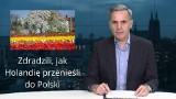 Zdradzili, jak Holandię przenieśli do Polski. Aż trudno uwierzyć... WIADOMOŚCI