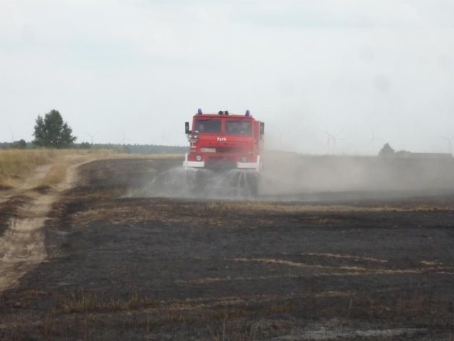 Płonęło 4,5 hektara ścierniska w gminie MirzecW niedzielę w Osinach spłonęło 4,5 hektara ścierniska i pół hektara lasu.