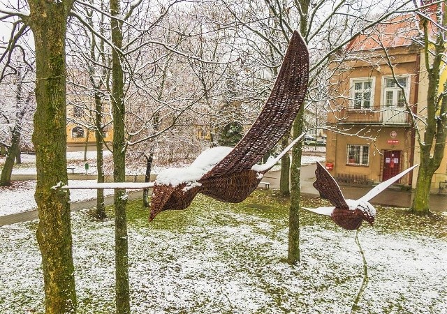 Rudnik nad Sanem w powiecie niżańskim to stolica polskiej wikliny. Tutejsi twórcy potrafią z niej wypleść niemal wszystko. Ostatnie dzieła zobaczycie pod niebem. Efekt jest odlotowy! Zobacz na kolejnych slajdach, jak powstawały niezwykłe ptaki>>>