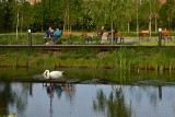 Świebodzińskie Błonia ożyły na wiosnę. Co o nowym parku sądzą mieszkańcy?