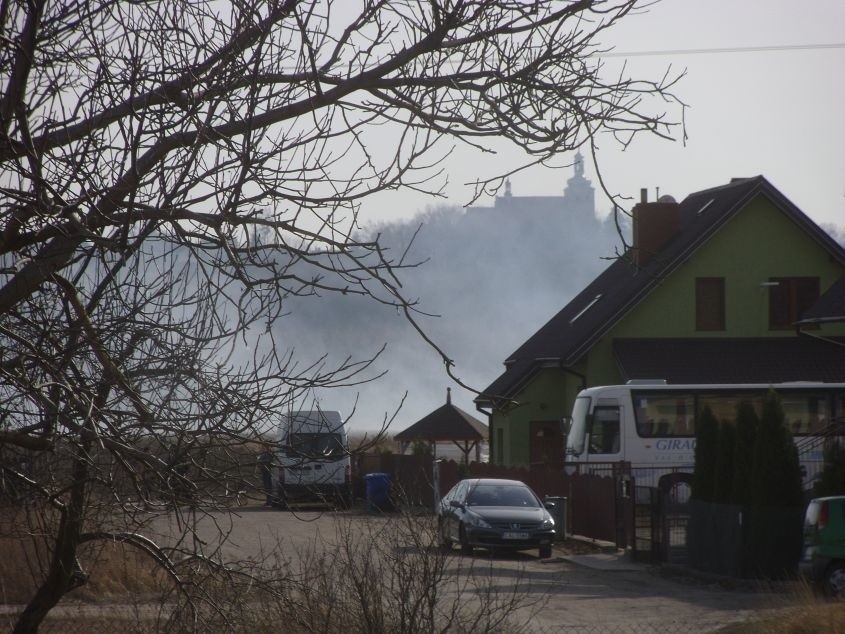 Pożar łąki na obrzeżach Ciechocinka