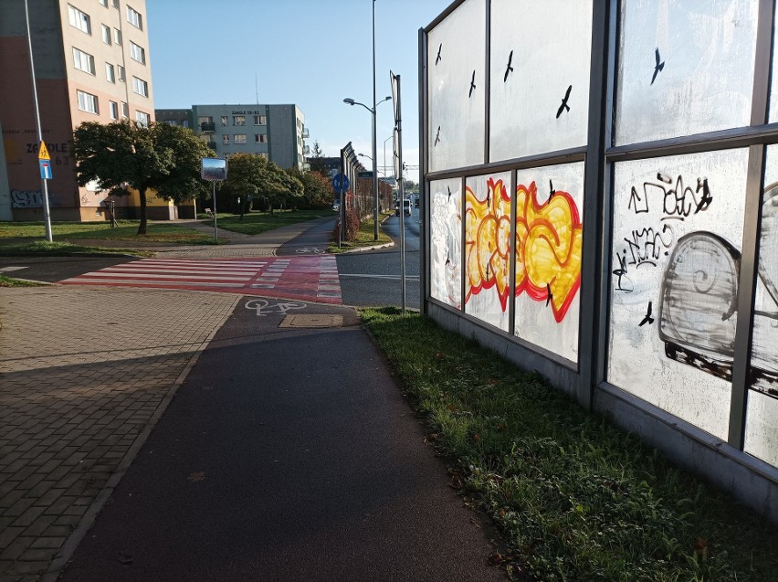 Ścieżka rowerowa przy Wszystkich Świętych w Szczecinie. Już niedługo będzie tam bezpieczniej?