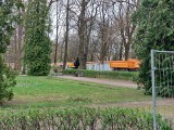 Rewitalizacja parku Planty w Białymstoku. Rozpoczęła się przebudowa od strony ul. Legionowej. Co z dostępem do słynnej toalety?