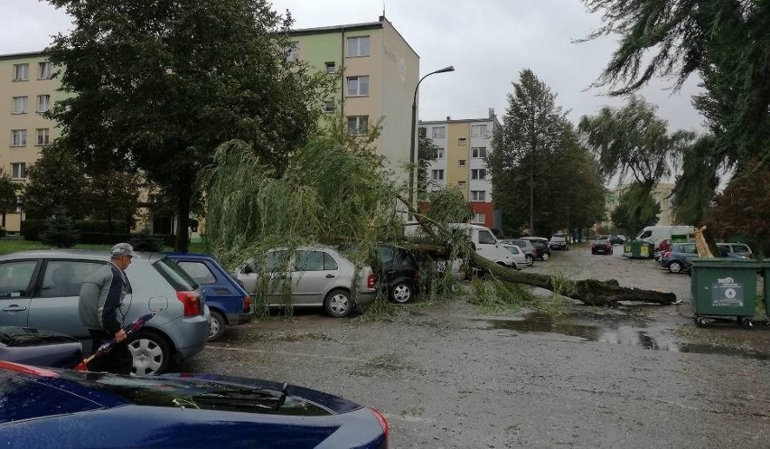 Połamane drzewo na osiedlu Dziesięciny.