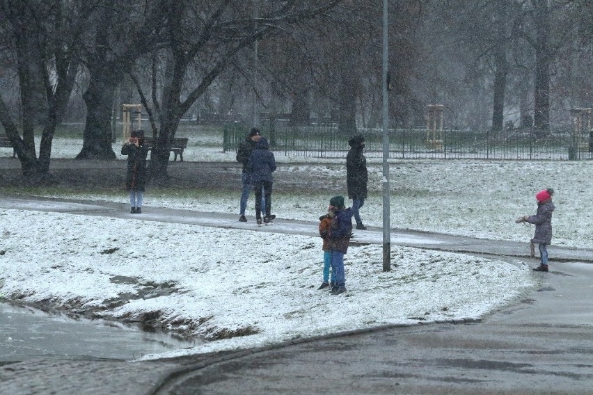 We Wrocławiu pada śnieg. Czy zostanie z nami na dłużej? Odpowiada synoptyk z Uniwersytetu Wrocławskiego [ZOBACZCIE ZDJĘCIA]