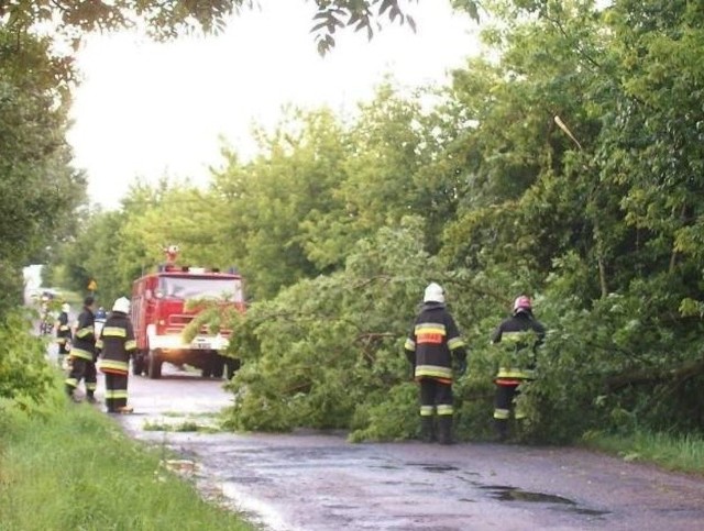W Szynkówku gm. Górzno dzięki szybkiej interwencji straży pożarnej usunięto przewrócone drzewo.