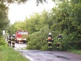 Powiat brodnicki. Przez zaledwie 10 minut burza wyrządziła ogromne szkody