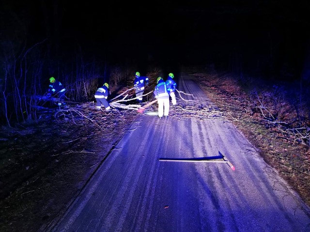 W dniu 27.01.2024 r. około godziny 04:30 zostaliśmy zadysponowani do usunięcia powalonego drzewa na drodze powiatowej na trasie Powalice - Rymań - informuje OSP Sławoborze