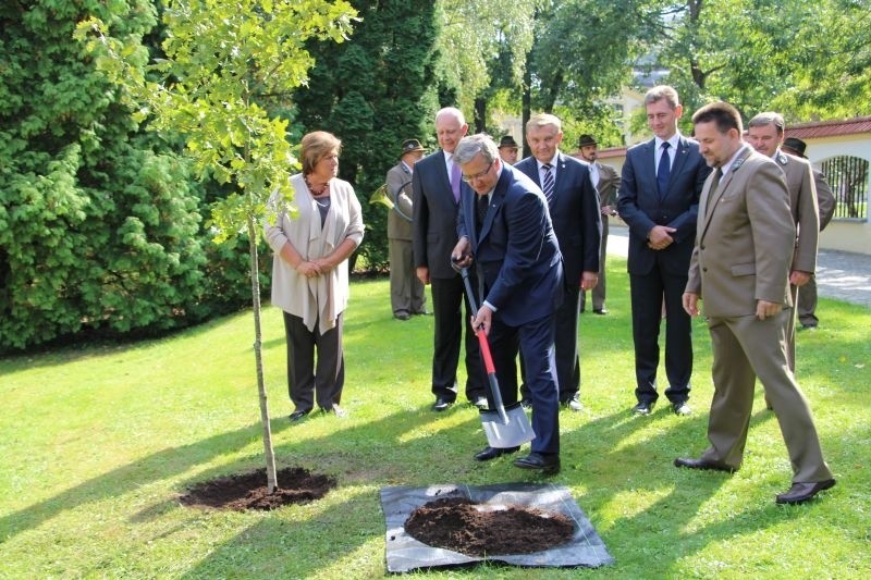 Prezydent zasadził Dąb Wolności w centrum miasta (zdjęcia, wideo)