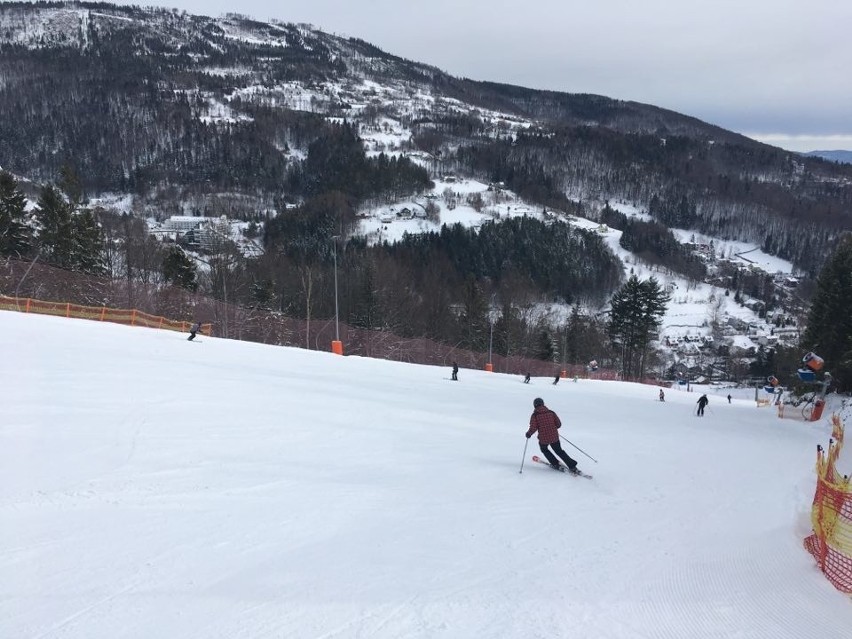 Warunki narciarskie w Beskidach, 1 marca 2020...