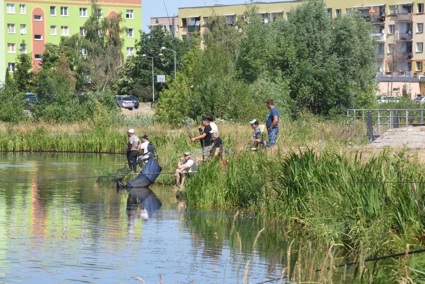 Np. w Czerwieńsku można łowić ryby w zalewie położonym tuż...
