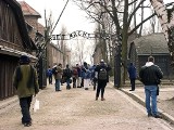 Bardzo cenne pamiątki w Muzeum Auschwitz