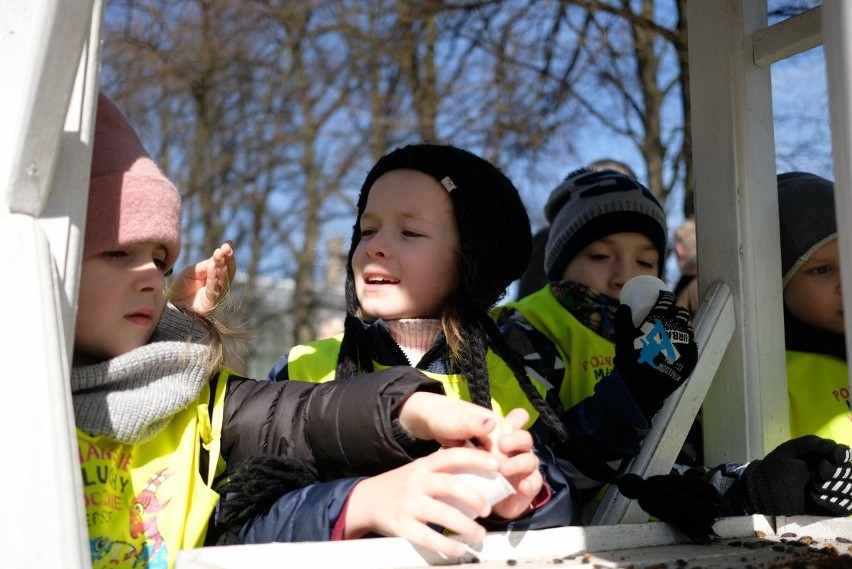 Park Wilsona: Zamontowano siedem budek dla wróbli oraz...