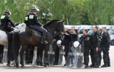 Praca w policji, straży pożarnej, BOR, straży granicznej - 10 kandydatów na jedno miejsce