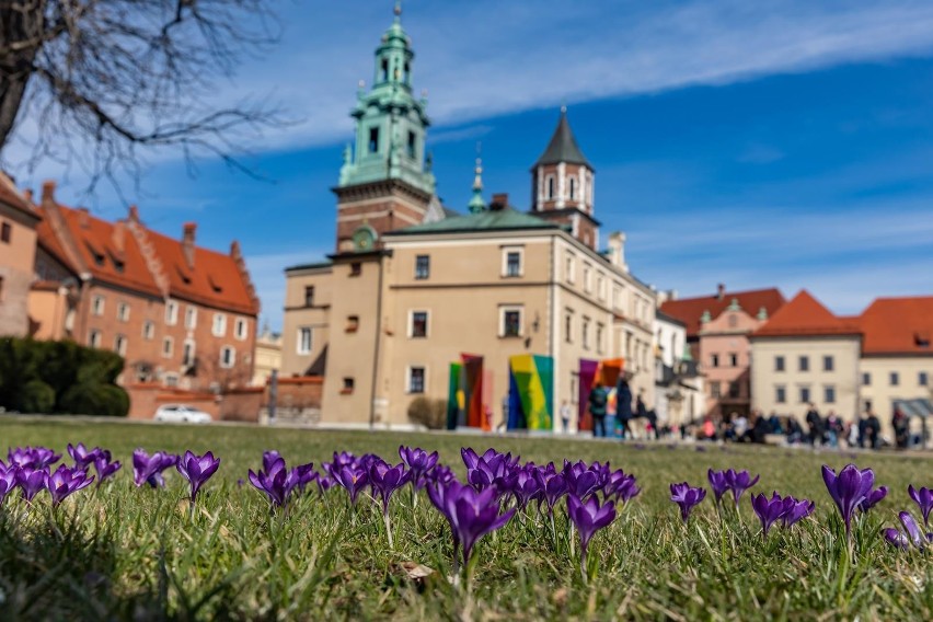 Podatek turystyczny odpowiedzią na kryzys w Krakowie? Gdyby pobierano go w ostatnich latach, miasto zyskałoby prawie 60 mln złotych