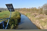 Tuchów. Ludzie wyprosili oczyszczenie koryta Białej. Ekologom się to nie podoba [ZDJECIA]