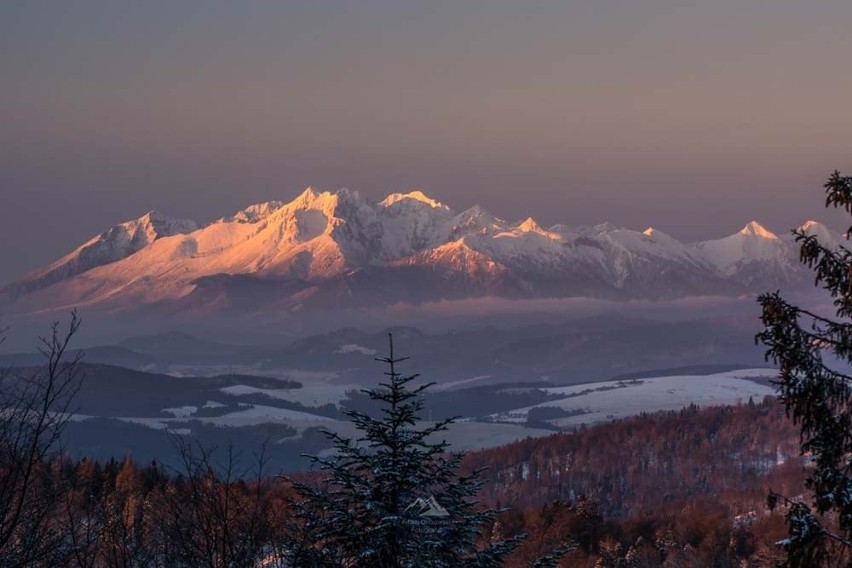 Piękne ośnieżone Tatry widziane z Jaworzyny Krynickiej....