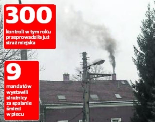 Mieszkańcy reagują, gdy widzą czarny dym wychodzący z komina. - Nie zawsze oznacza to palenie śmieciami - zaznacza Dariusz Górski