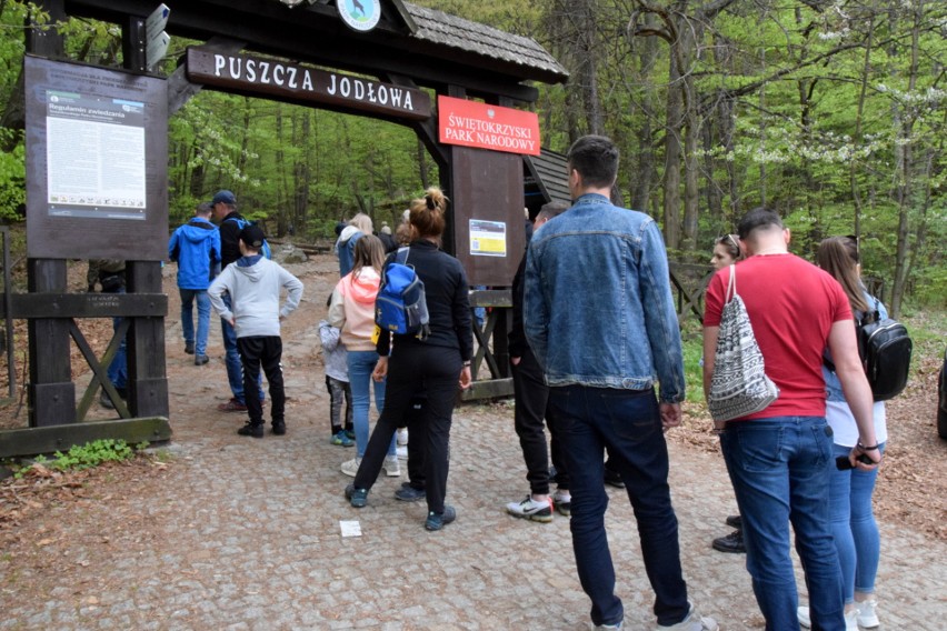 Kolejka do wejście na teren Świętokrzyskiego Parku...