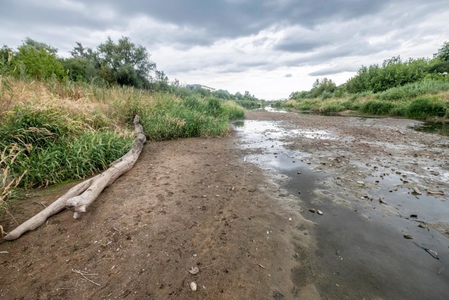 Skoro Światowa Organizacja Meteorologiczna (WMO) potwierdziła, że rok 2018 był czwartym najcieplejszym w dziejach pomiarów atmosferycznych, a przecież 2019 był jeszcze cieplejszy, to czego możemy spodziewać się w tym roku? Chociaż do lata 2020 jeszcze parę miesięcy, naukowcy już prognozują, że może być jeszcze gorzej, jeszcze bardziej sucho niż rok temu. Chociaż trudno w to uwierzyć, gdy jest połowa kalendarzowej zimy, fakty są nieubłagane – w Wielkopolsce już teraz mamy suszę. Sprawdzamy, jak wygląda sytuacja w naszym regionie.Czytaj dalej --->