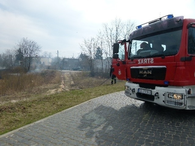 Pożar traw przy ul. Pabianickiej