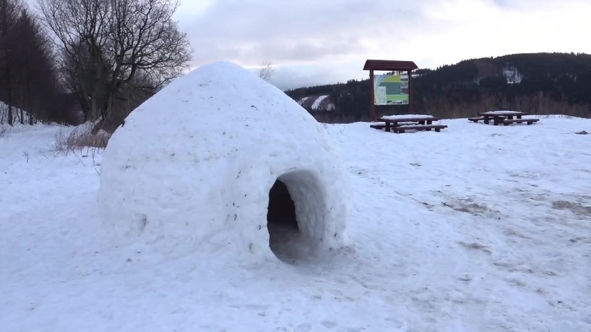 Stolarz z Kowar zbudował... igloo [FILM]                  