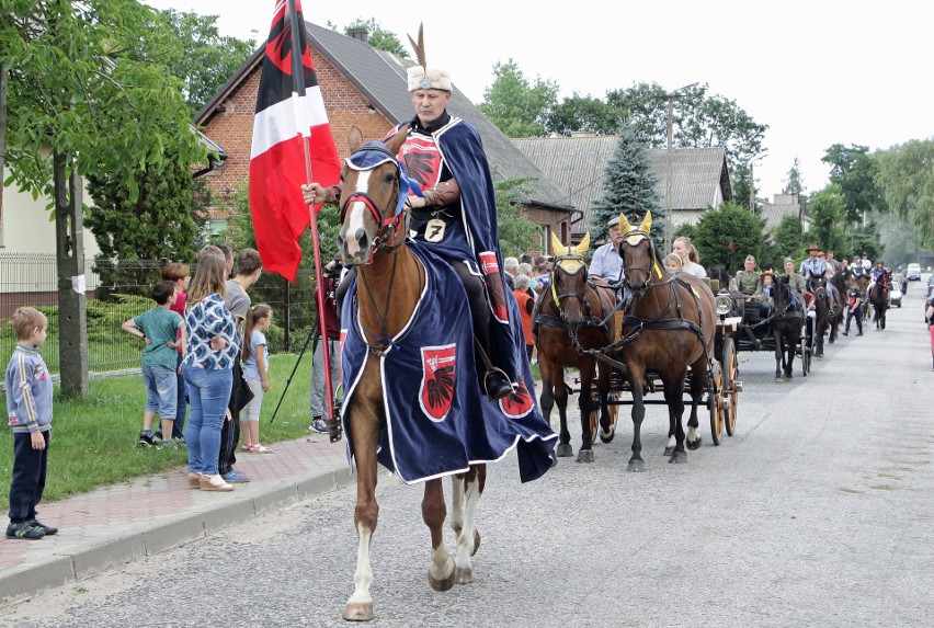 Święto konia 2016 w Płużnicy. Radosne rżenie przyciągnęło tłumy [zdjęcia]
