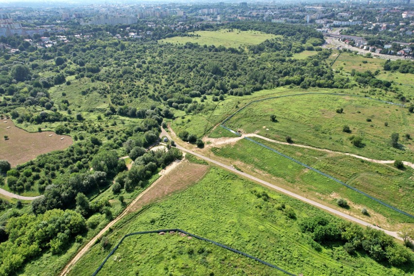 „Zielone płuca Lublina”. Ostatni taki widok na górki czechowskie? Zobacz wyjątkowe zdjęcia z drona