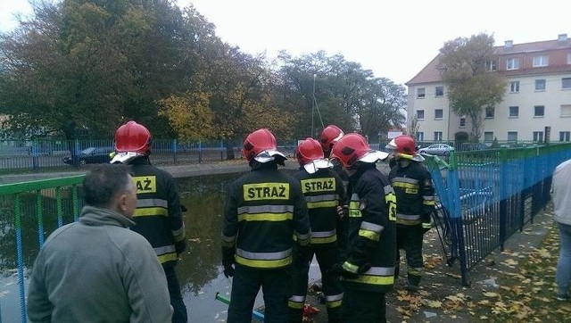 Zeznania świadków różnią się w szczegółach. Jedni twierdzą, że był tylko kierowca, inni, że z samochodu uciekło dwóch mężczyzn.