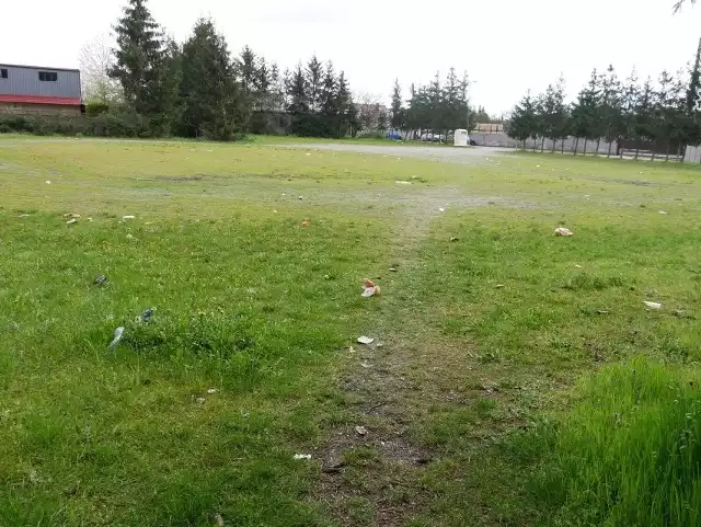 Mnóstwo śmieci i rozbite szkło. Tak wygląda okolica stadionu kilka dni po meczu Warty