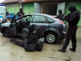 Kibole ochraniali agencje towarzyskie. Zatrzymało ich 100 antyterrorystów 