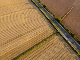 Stawka płatności do integrowanej produkcji roślin