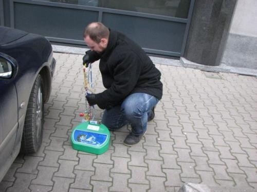 Fot. Tomasz Szmandra: Dzięki siatce umocowanej na...