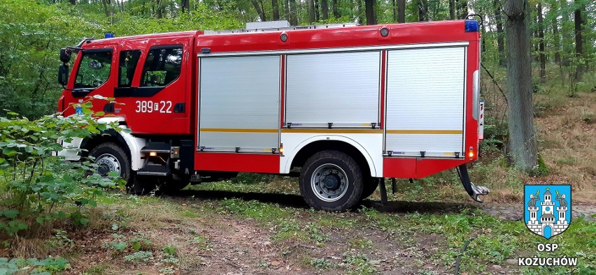 W akcji brały udział dwa zastępy strażaków z OSP