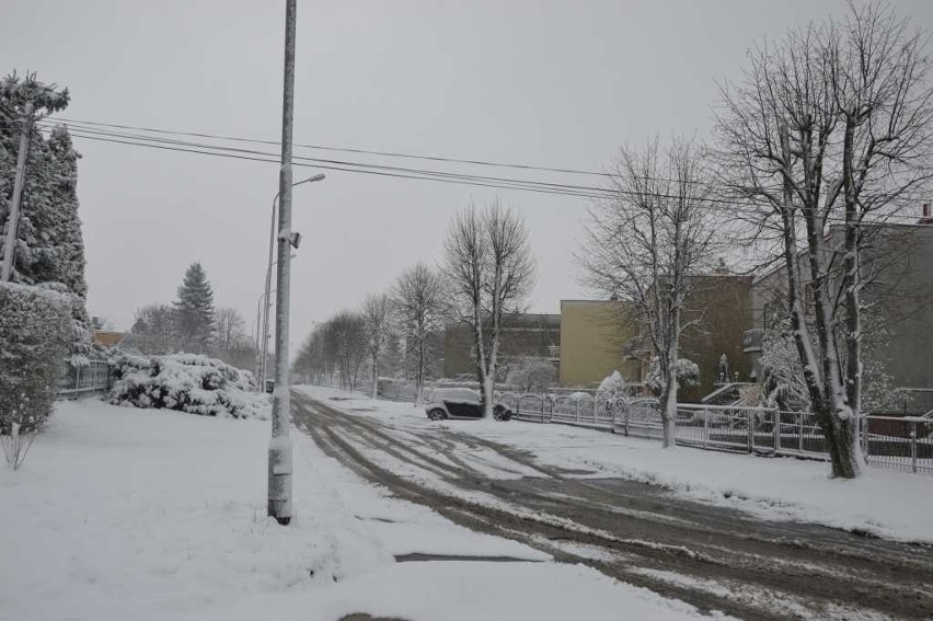 Wiosenny atak zimy w Starachowiach.