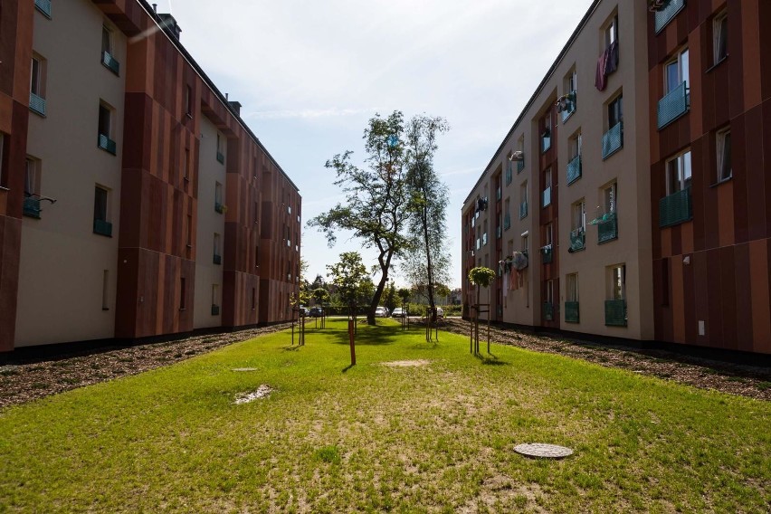 Kraków. Nowe osiedle komunalne na Ruczaju już gotowe. Pięć kolejnych bloków czeka na lokatorów [ZDJĘCIA]